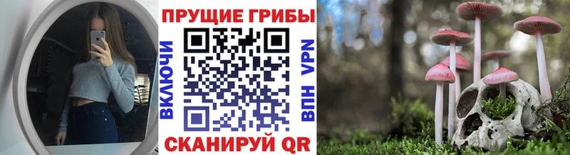 мега маркетплейс  Краснокаменск  Псилоцибиновые грибы мухоморы 